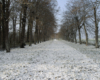 Auzouer en Touraine sous la neige