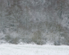 Auzouer-en-Touraine sous la neige